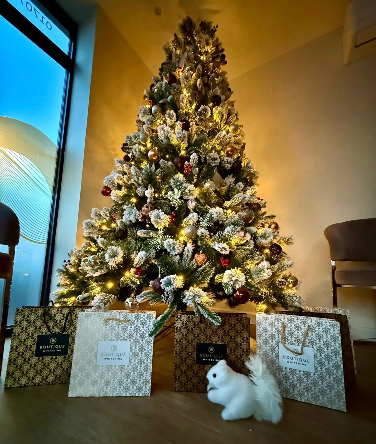 WhatsApp Image 2025-11-24 at 21.57.30_5e64ee00